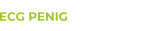 ECG PENIG